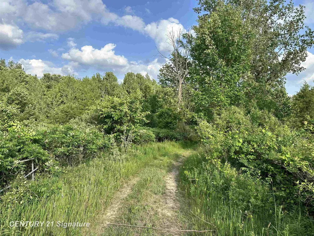 4020 Wieman Road Billings Township, MI 48612