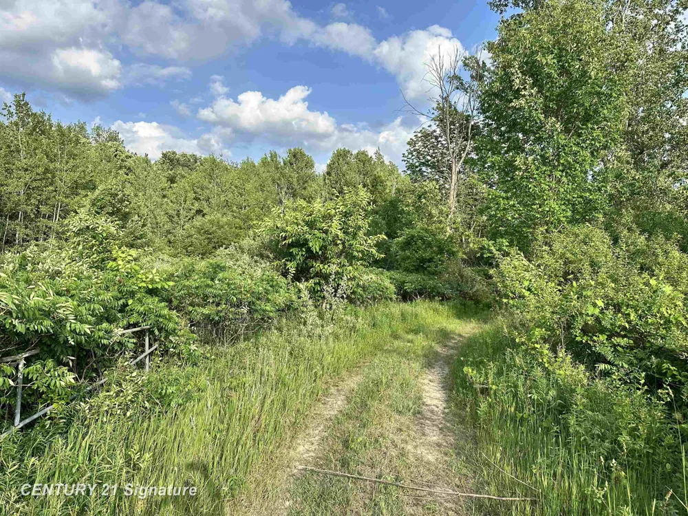 4020 Wieman Road Billings Township, MI 48612