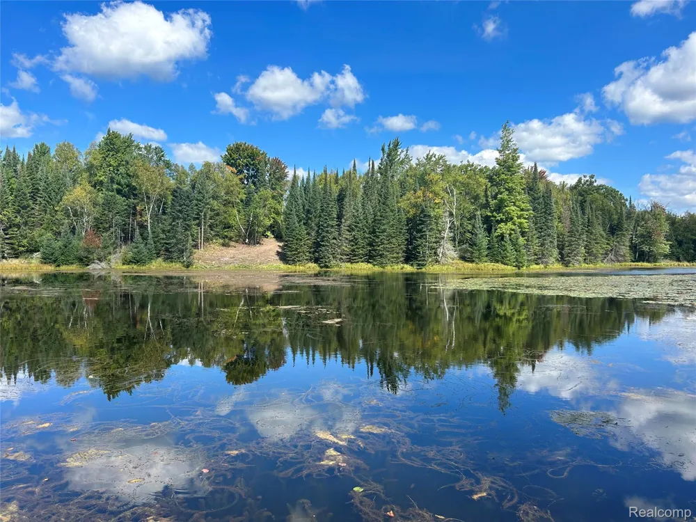 4178 E North Rose Circle Hill Township, MI 48635