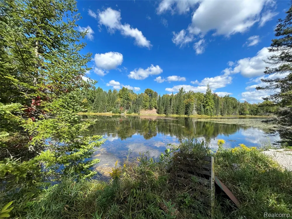 4178 E North Rose Circle Hill Township, MI 48635