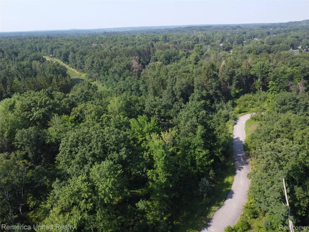 Pondside Dr Lot 11 Surrey Township, MI 48622