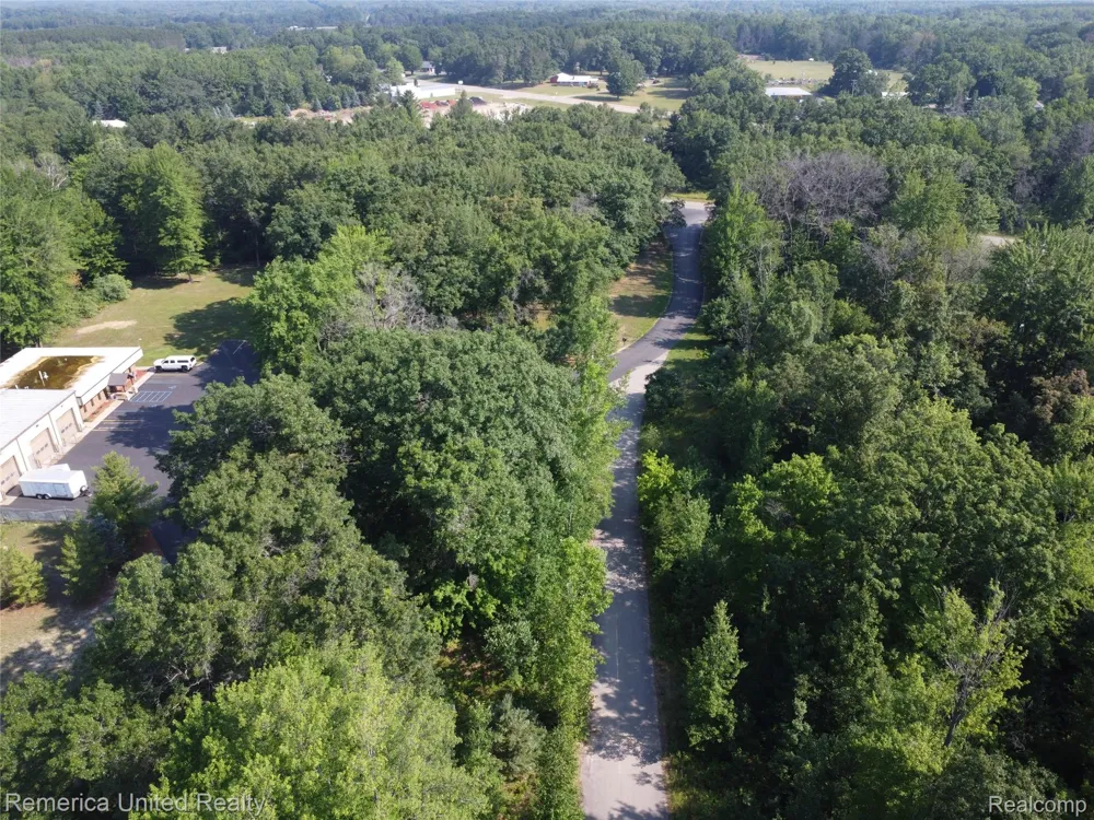 Pondside Dr Lot 11 Surrey Township, MI 48622