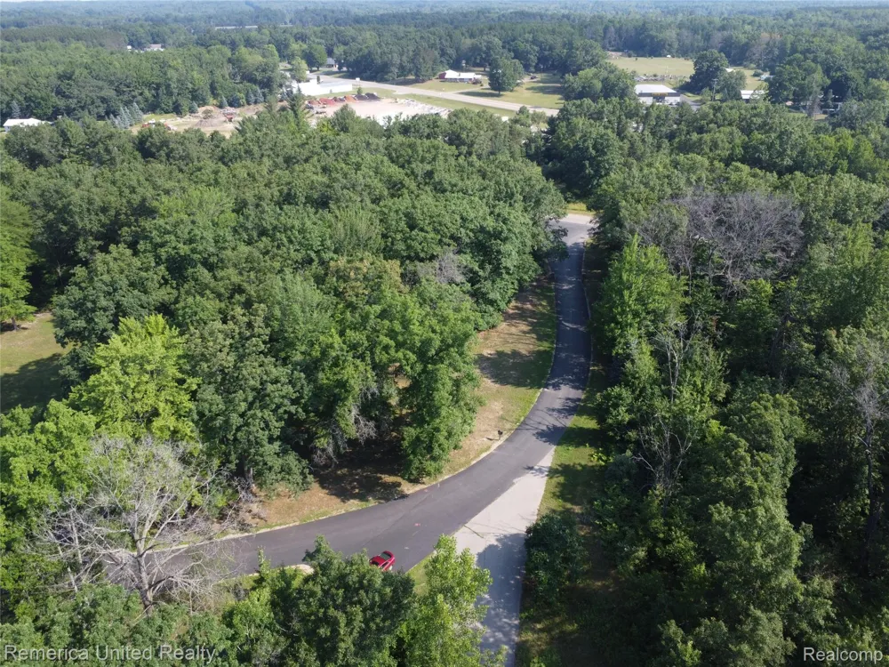 Pondside Dr Lot 9 Surrey Township, MI 48622