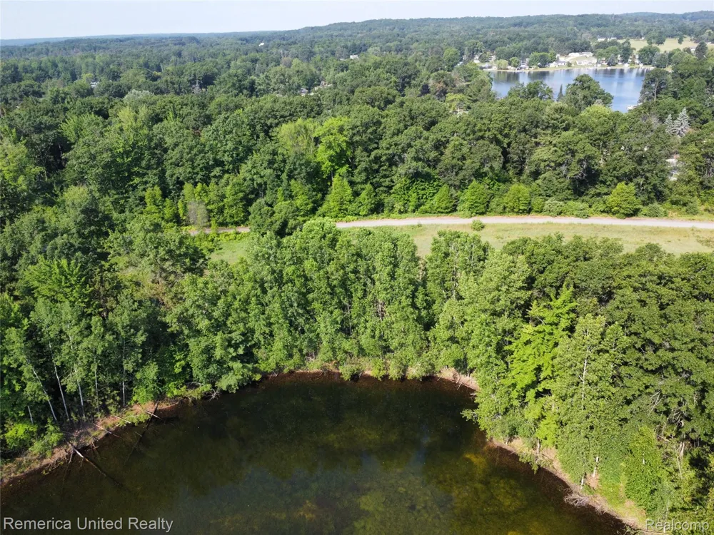 Pondside Dr Lot 10 Surrey Township, MI 48622