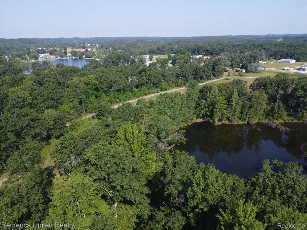Pondside Dr Lot 19 Surrey Township, MI 48622