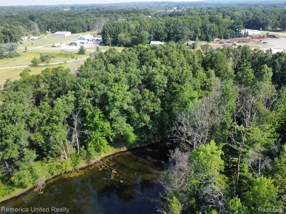 Pondside Dr Lot 19 Surrey Township, MI 48622