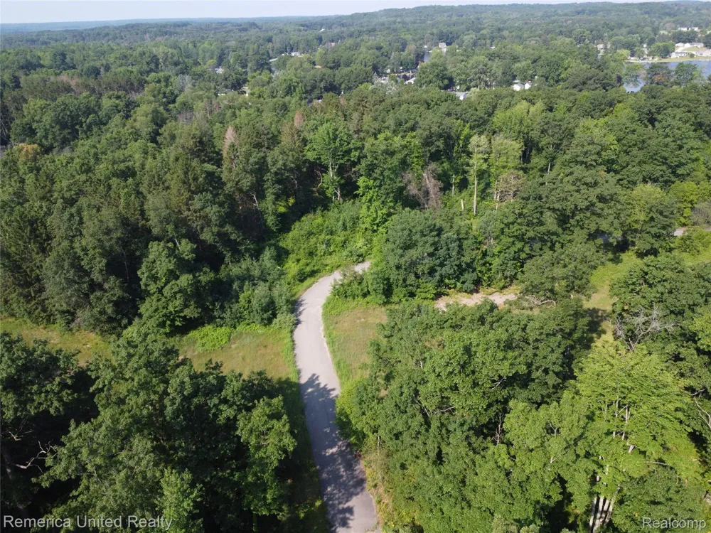 Pondside Dr Lot 19 Surrey Township, MI 48622