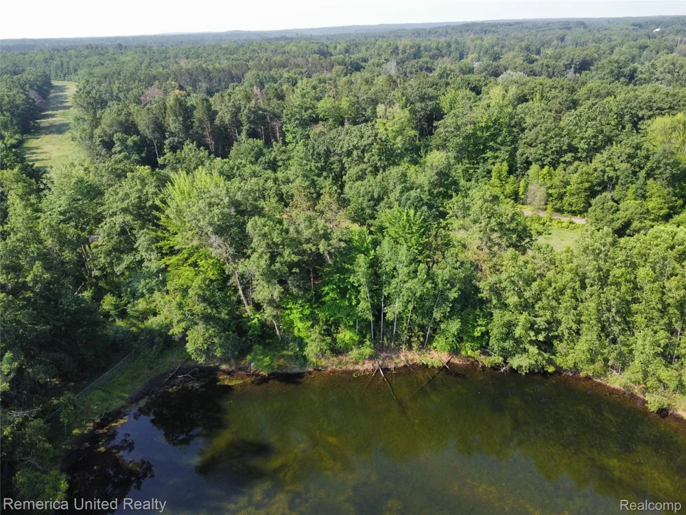Pondside Dr Lot 19 Surrey Township, MI 48622