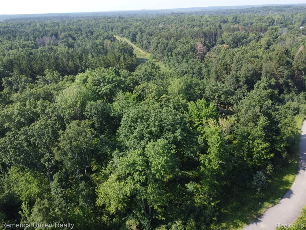 Pondside Dr Lot 21 Surrey Township, MI 48622