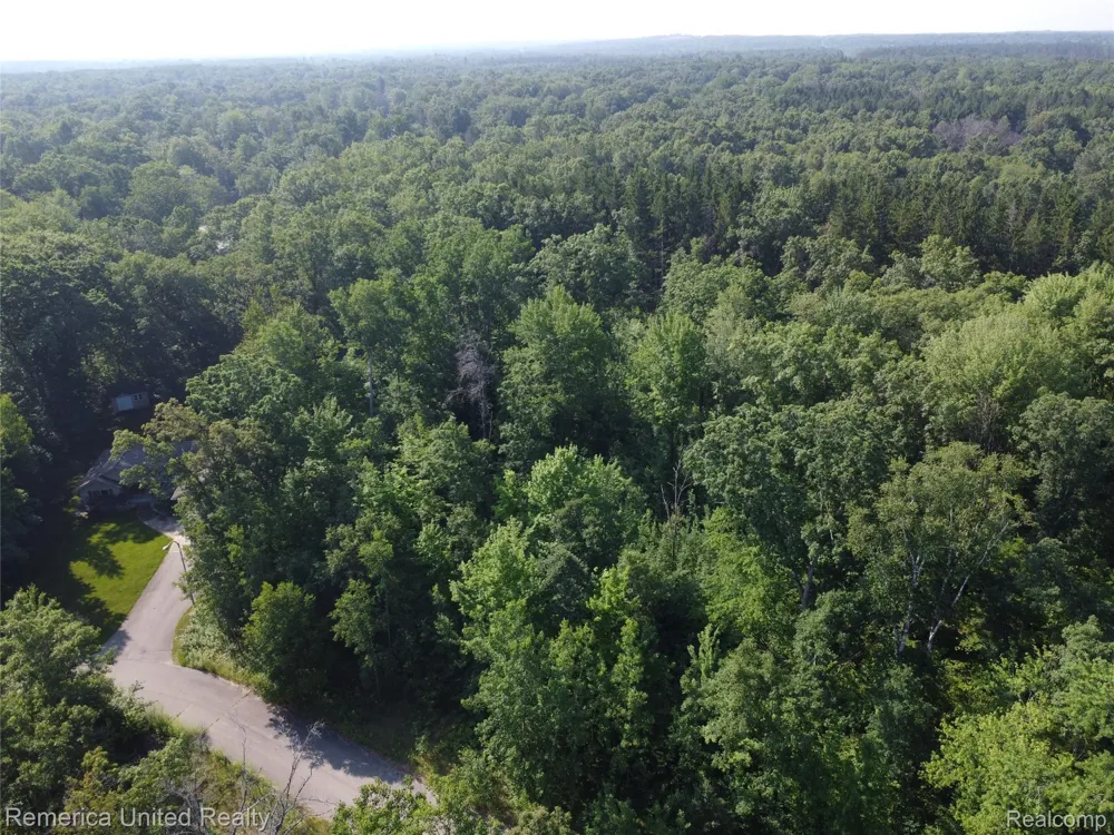 Pondside Dr Lot 21 Surrey Township, MI 48622