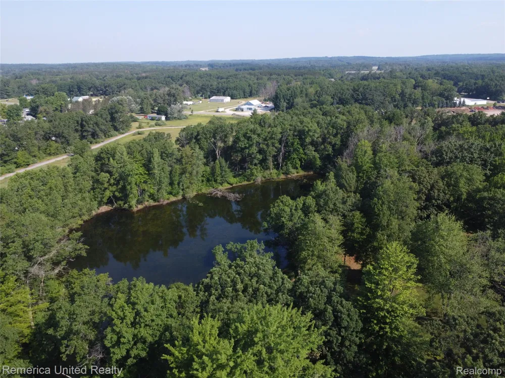 Pondside Dr Lot 21 Surrey Township, MI 48622