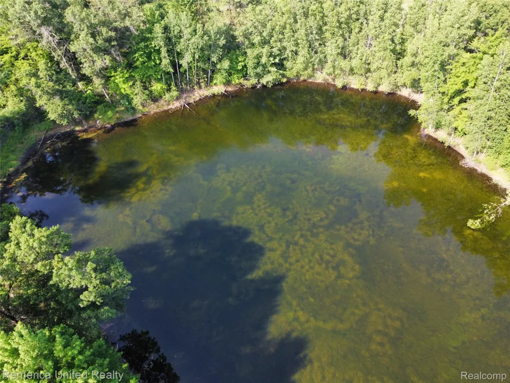 Pondside Dr Lot 24 Surrey Township, MI 48622