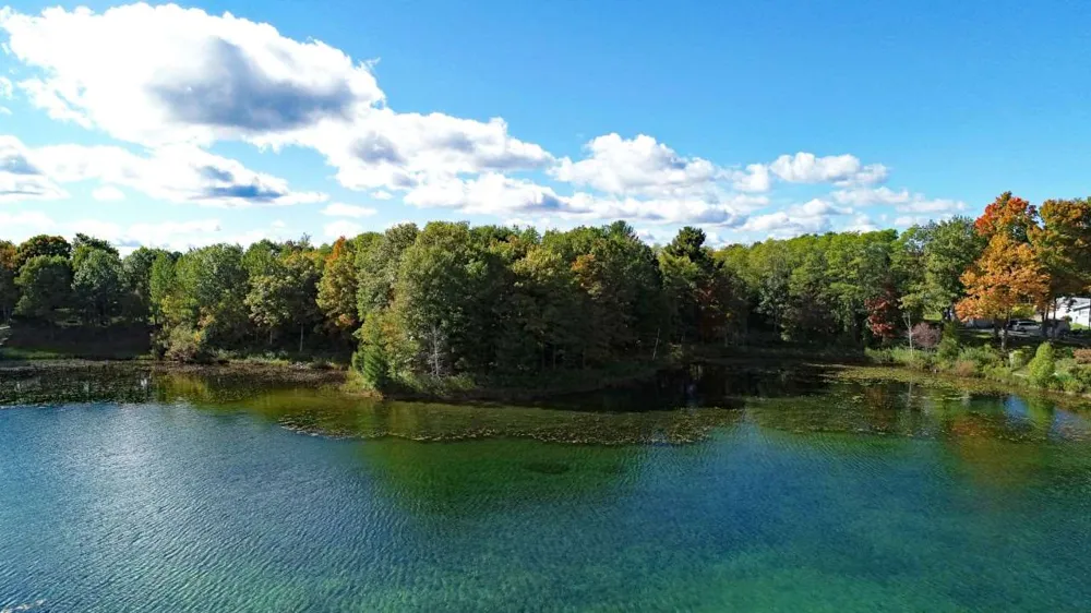 Silver Harbor Drive Blair Township, MI 49684