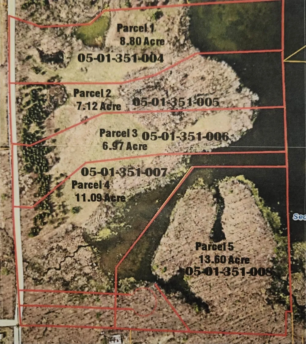 Hagerman Parcel 3 Road Addison Township, MI 48367