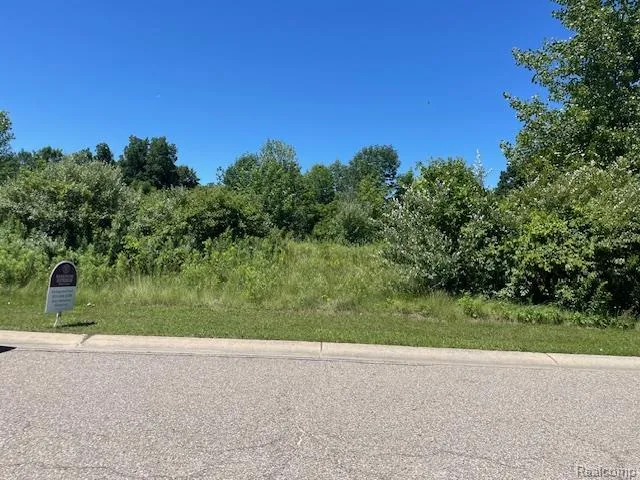 6460 Atlas Lakes Drive Atlas Township, MI 48411