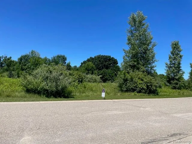 6460 Atlas Lakes Drive Atlas Township, MI 48411