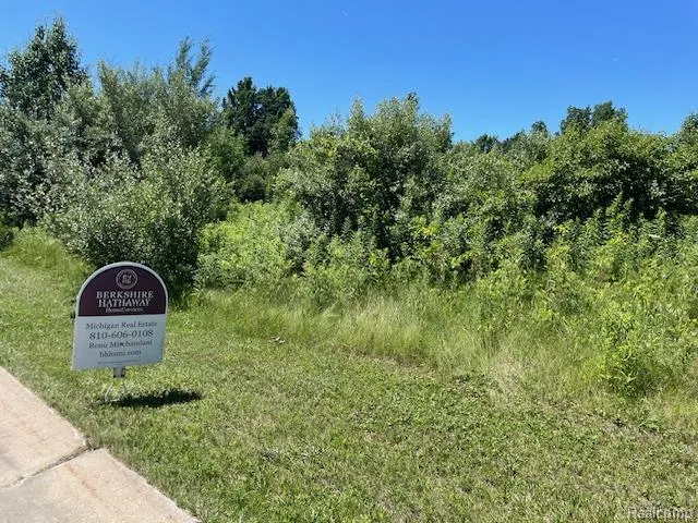 6460 Atlas Lakes Drive Atlas Township, MI 48411