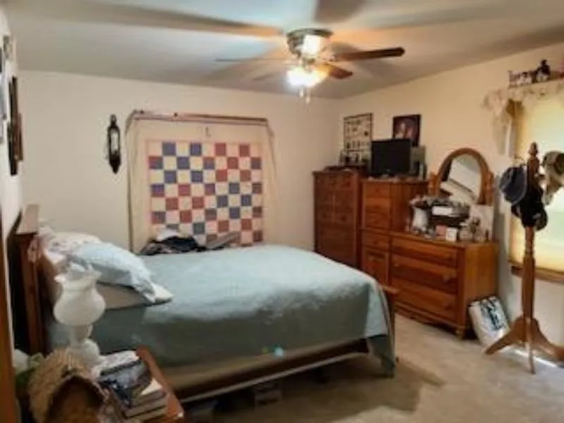 5314 E 16th Street Sims Township, MI 48703
