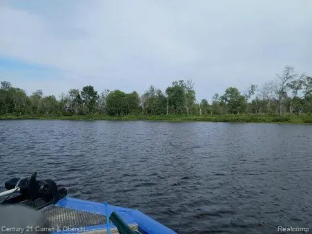 Tahquamenon River (shore) Mcmillan Township, MI 49868