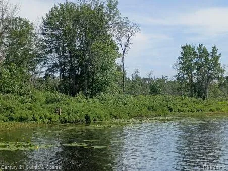 Tahquamenon River (shore)