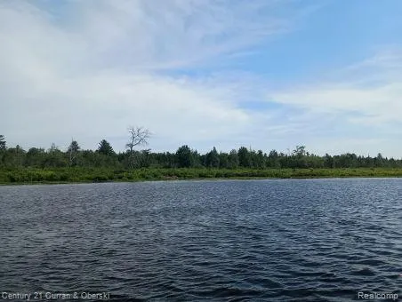 Tahquamenon River (shore) Mcmillan Township, MI 49868