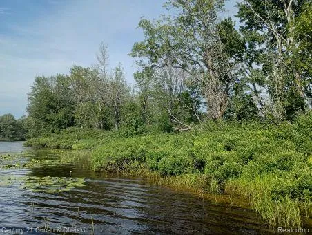 Tahquamenon River (shore) Mcmillan Township, MI 49868