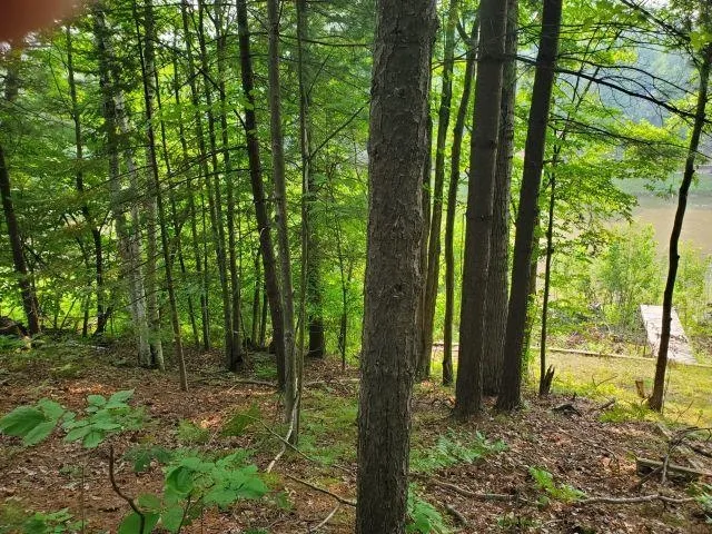 Rivers Terrace Road Hay Township, MI 48624