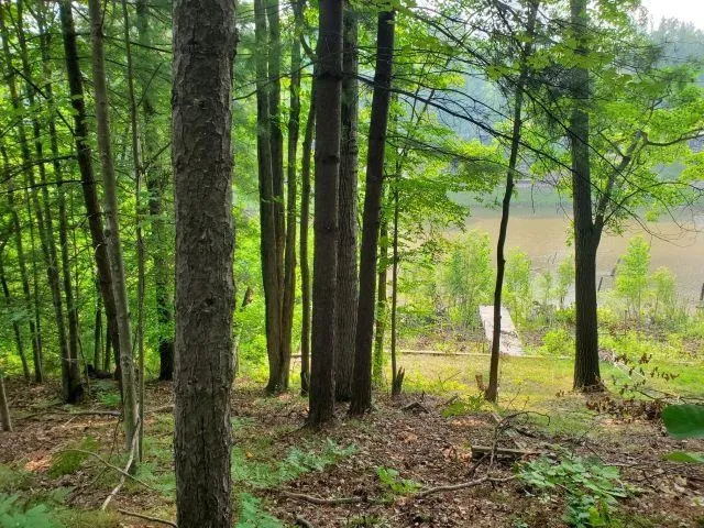 Rivers Terrace Road Hay Township, MI 48624
