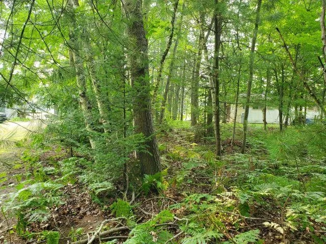 Rivers Terrace Road Hay Township, MI 48624
