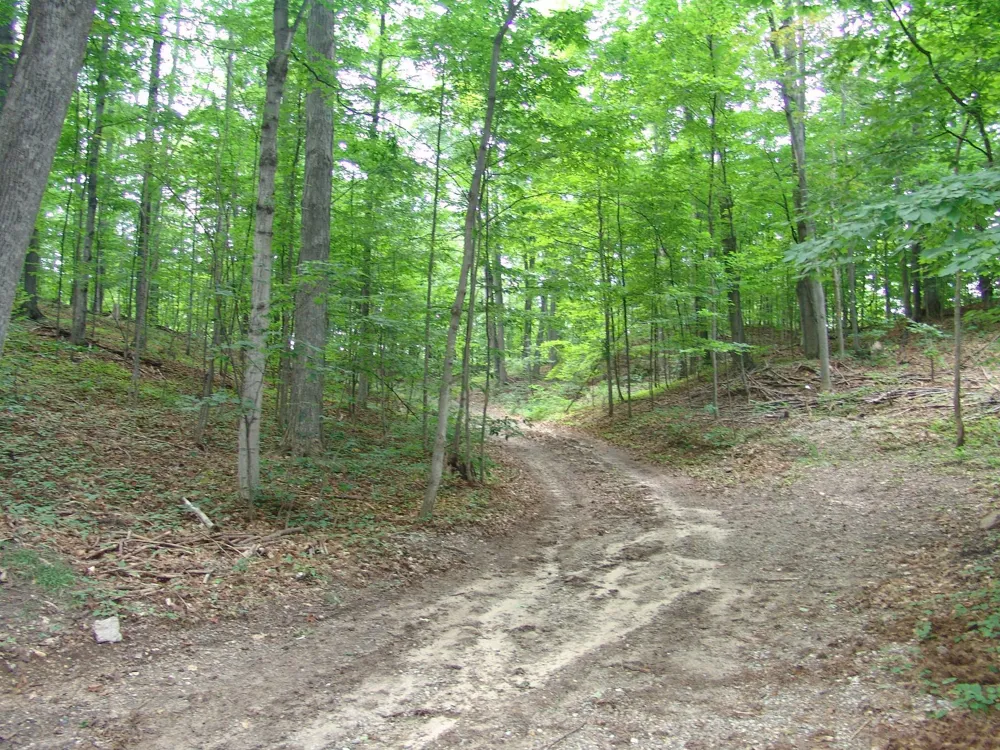 3792 Woodgate Drive East Bay Township, MI 49686