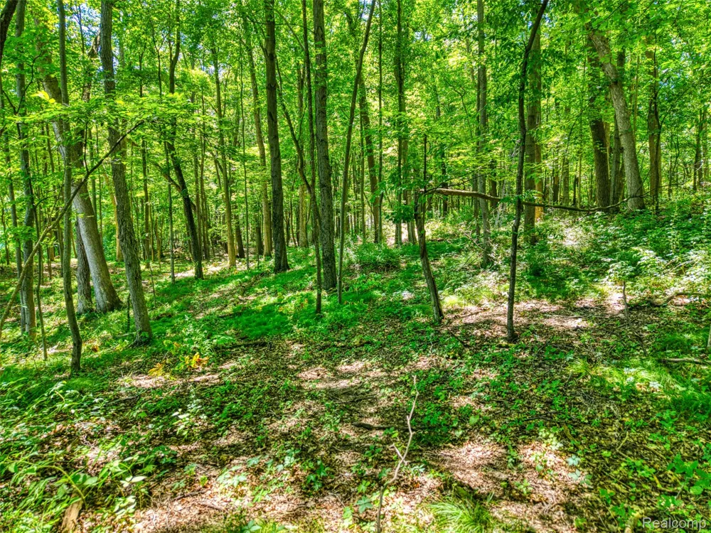 5663 Iosco Mountain Road Iosco Township, MI 48137