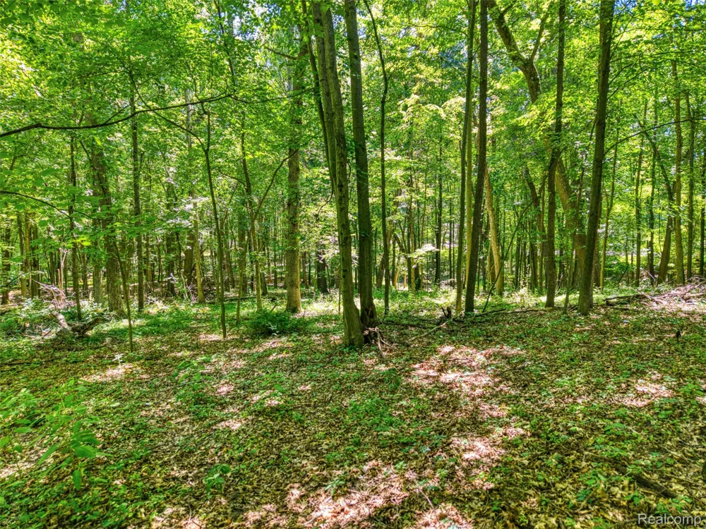 5663 Iosco Mountain Road Iosco Township, MI 48137