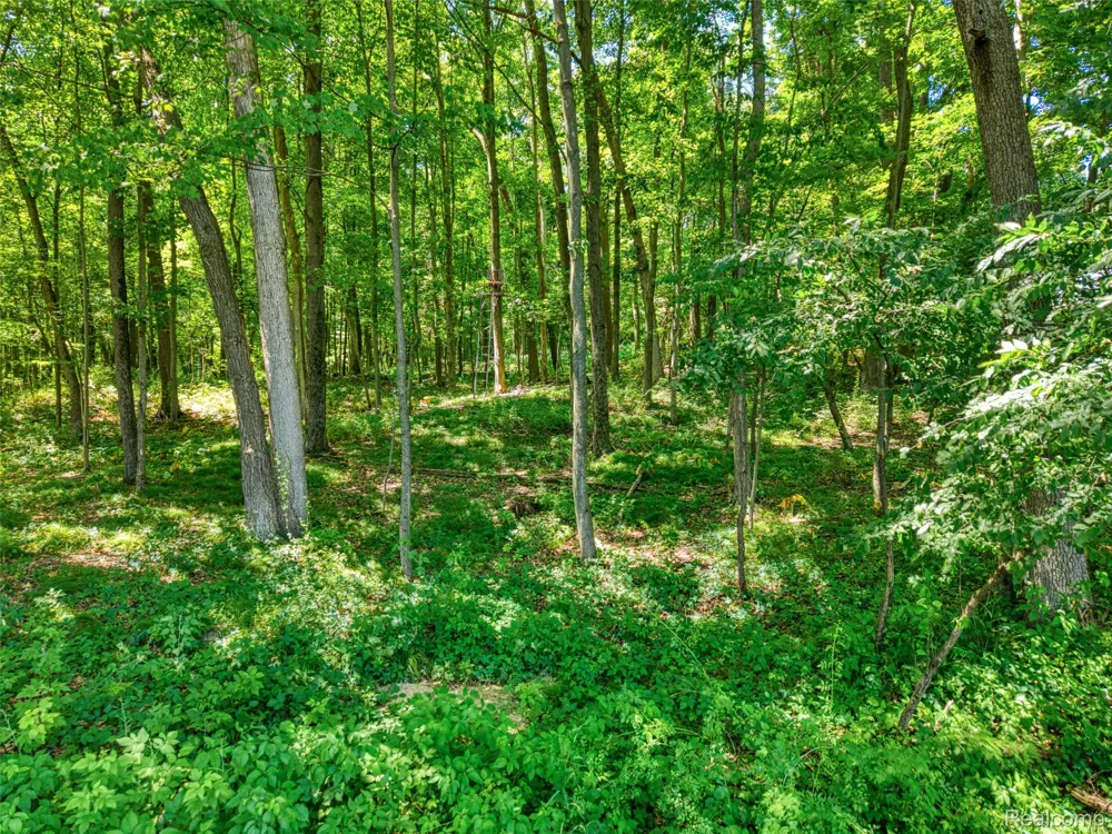 5663 Iosco Mountain Road Iosco Township, MI 48137