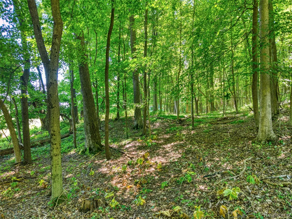 5663 Iosco Mountain Road Iosco Township, MI 48137