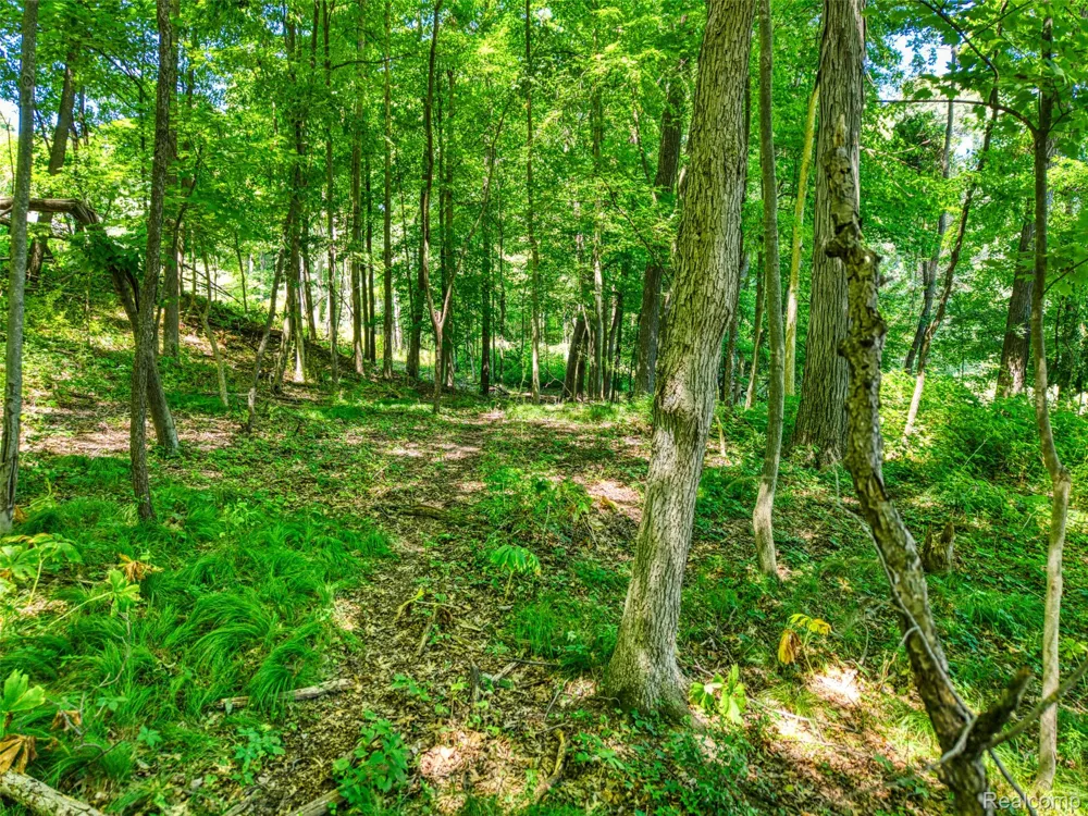 5663 Iosco Mountain Road Iosco Township, MI 48137