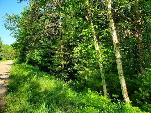 Hillside Drive Moffatt Township, MI 48610
