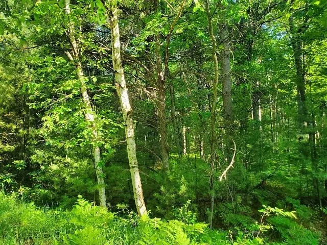 Hillside Drive Moffatt Township, MI 48610