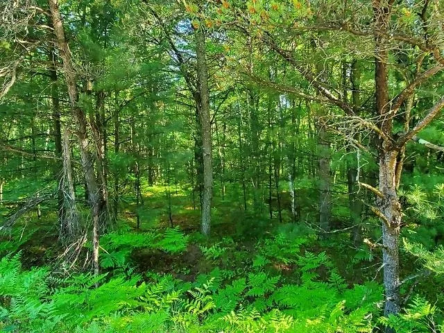 Hillside Drive Moffatt Township, MI 48610
