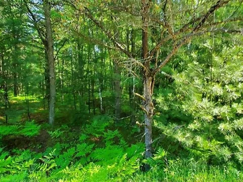 Hillside Drive