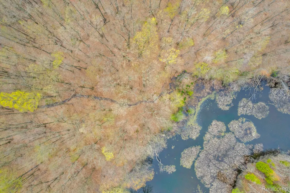 Hagerman Addison Township, MI 48367
