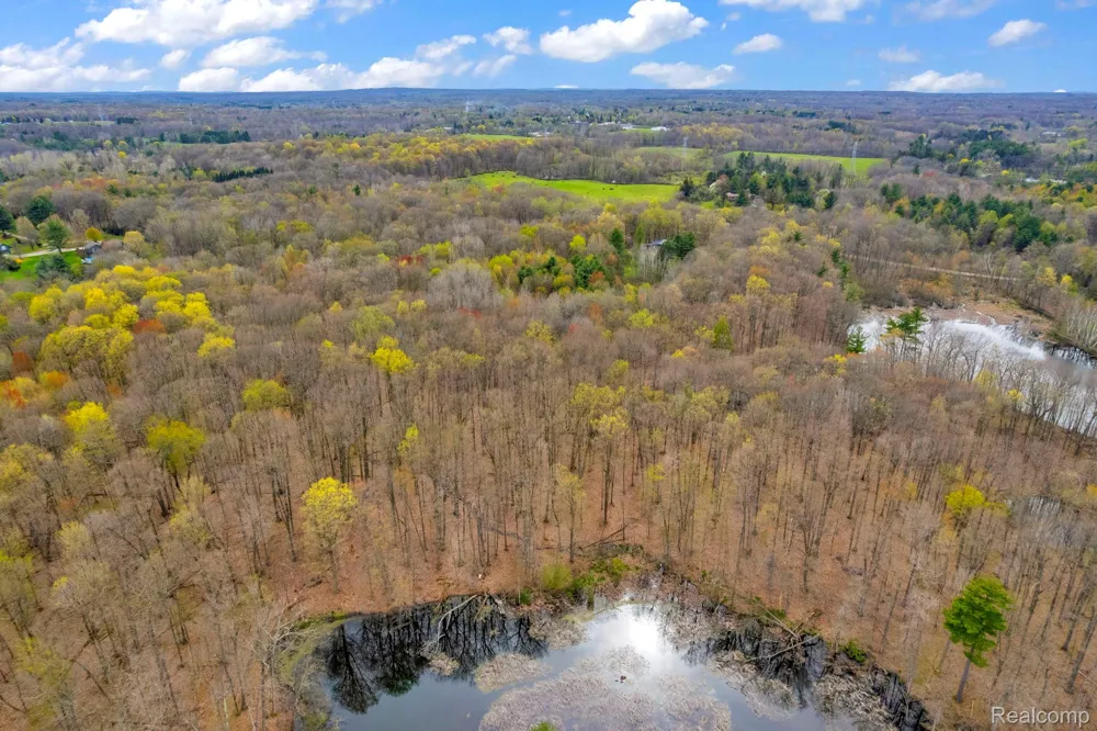 Hagerman Addison Township, MI 48367
