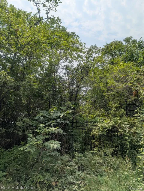 Ward Road Road