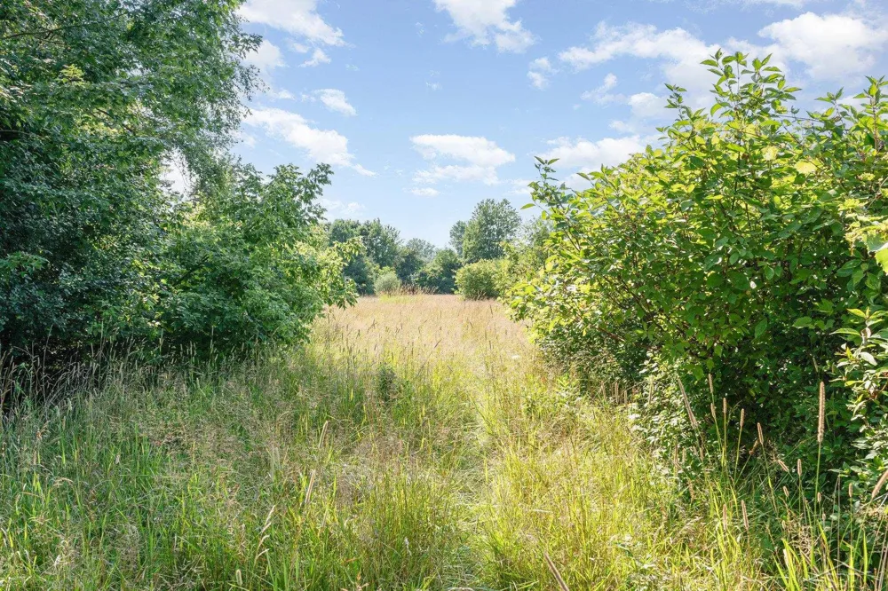 Kenora Drive Kochville Township, MI 48604