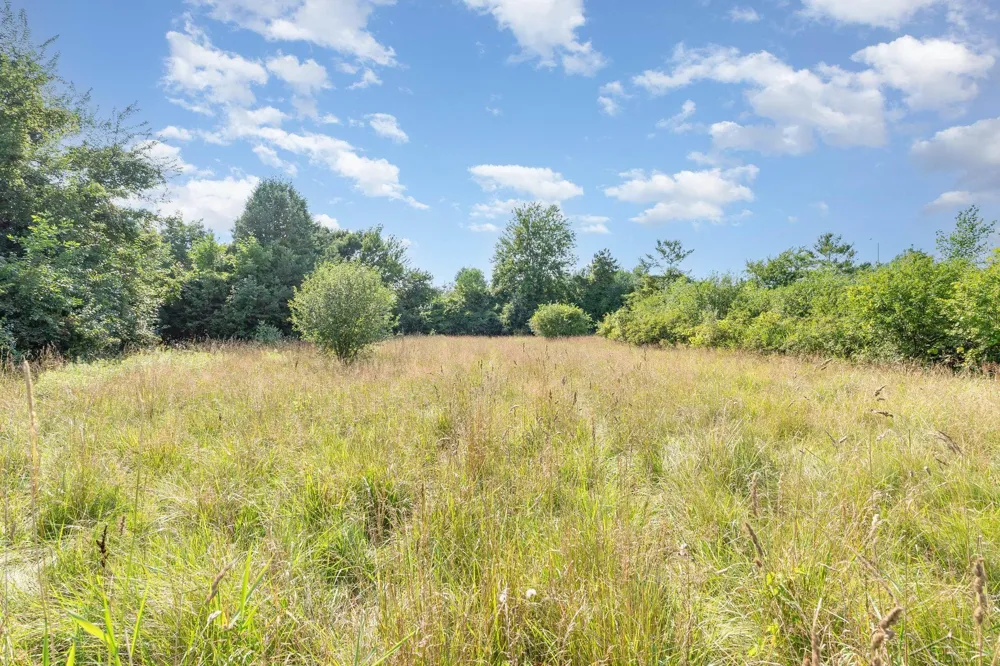 Kenora Drive Kochville Township, MI 48604