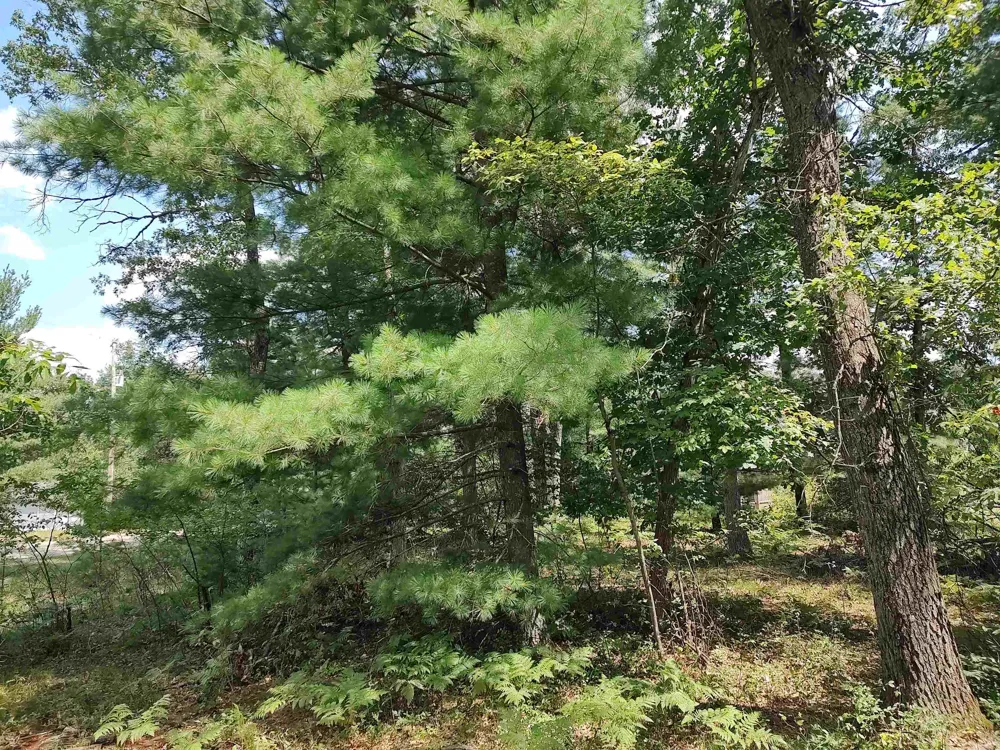 Winterset Drive Moffatt Township, MI 48610