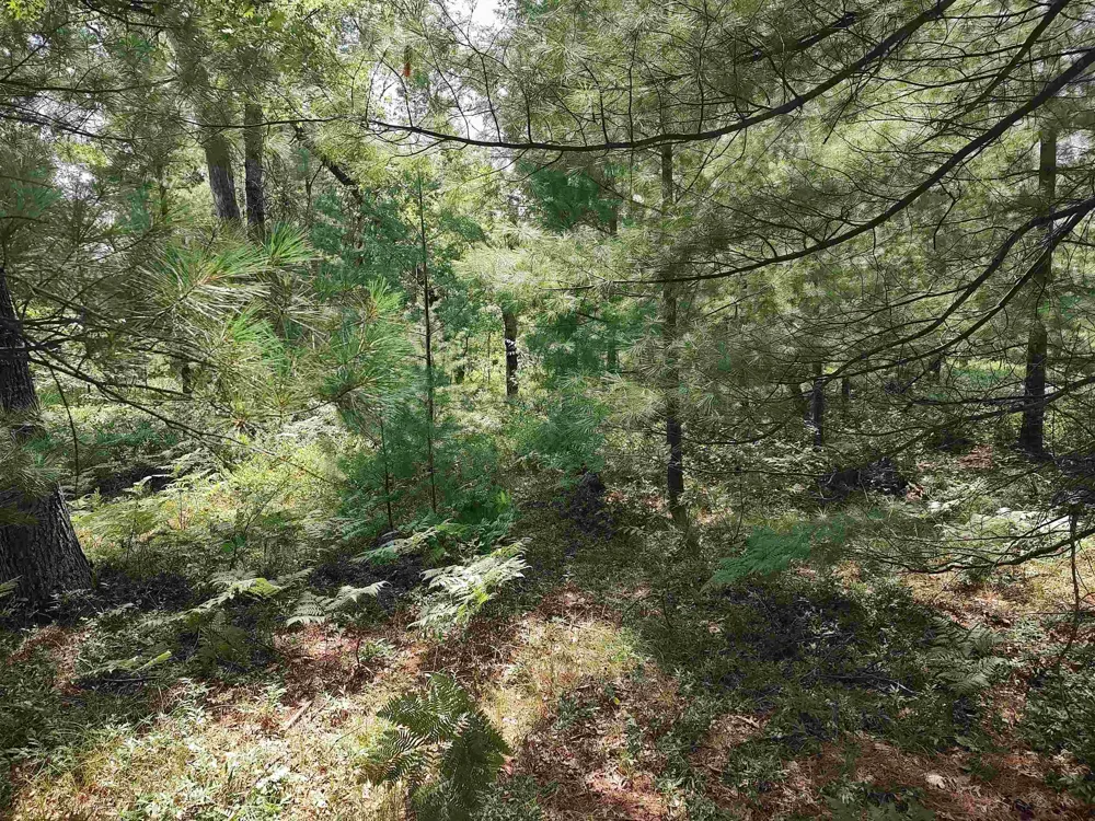 Winterset Drive Moffatt Township, MI 48610