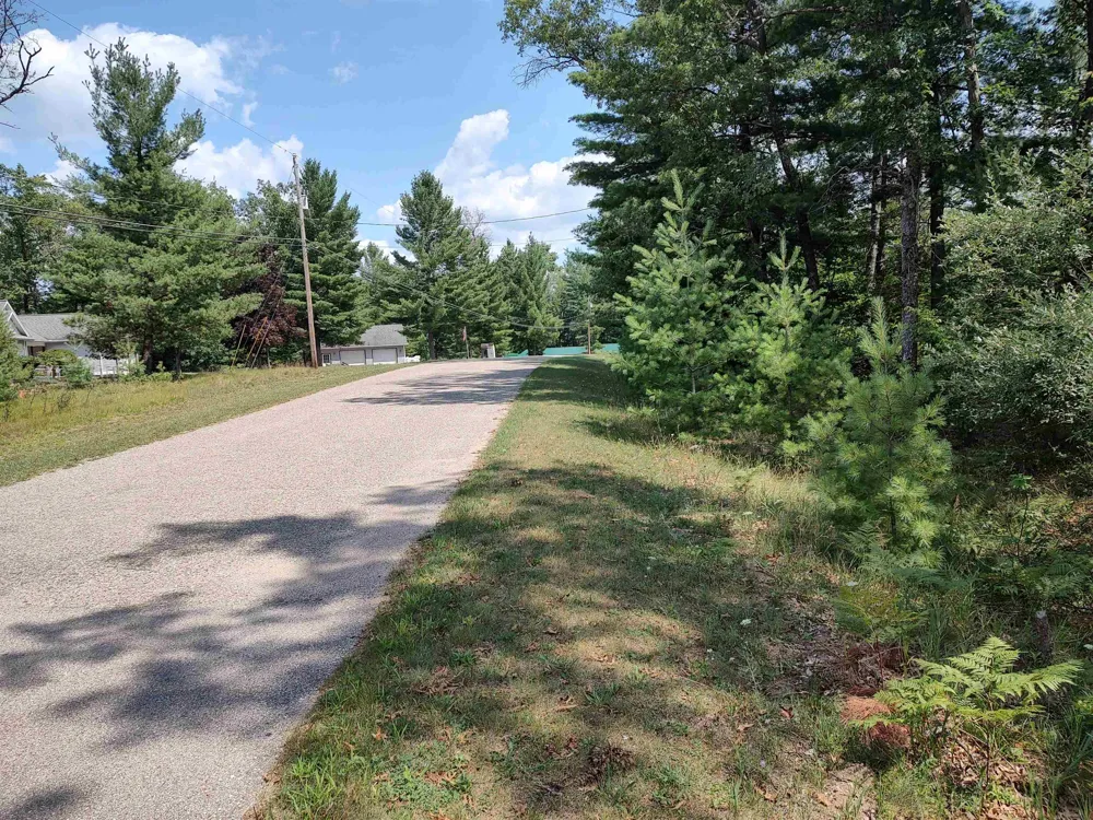Winterset Drive Moffatt Township, MI 48610