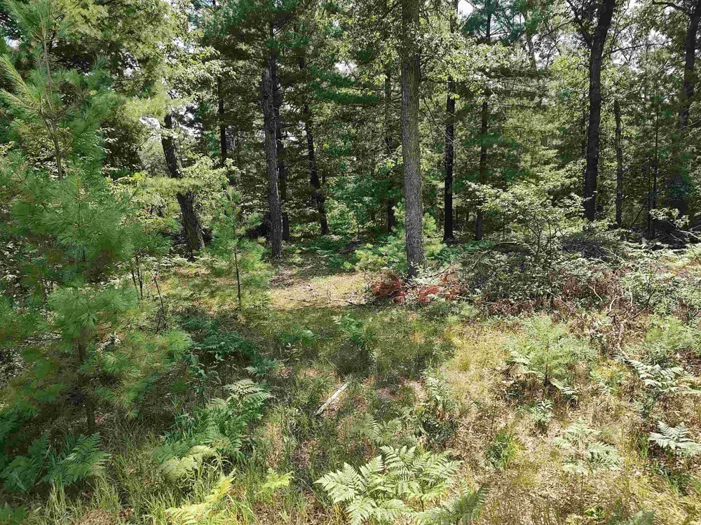 Winterset Drive Moffatt Township, MI 48610
