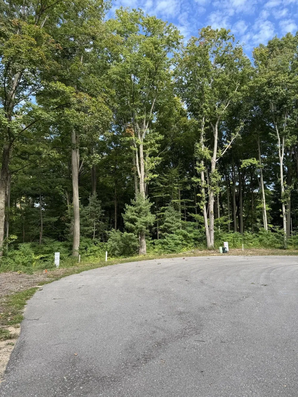 14672 Crest View Court South Haven Charter Township, MI 49090