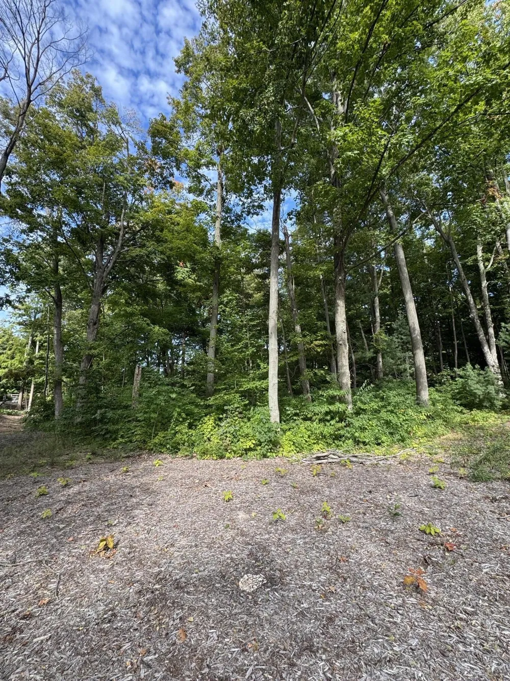 14672 Crest View Court South Haven Charter Township, MI 49090